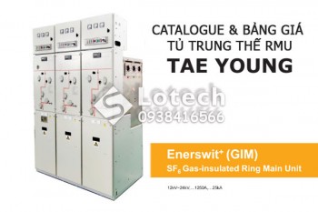 Bảng Giá Tủ Trung Thế TaeYoung - Catalogue